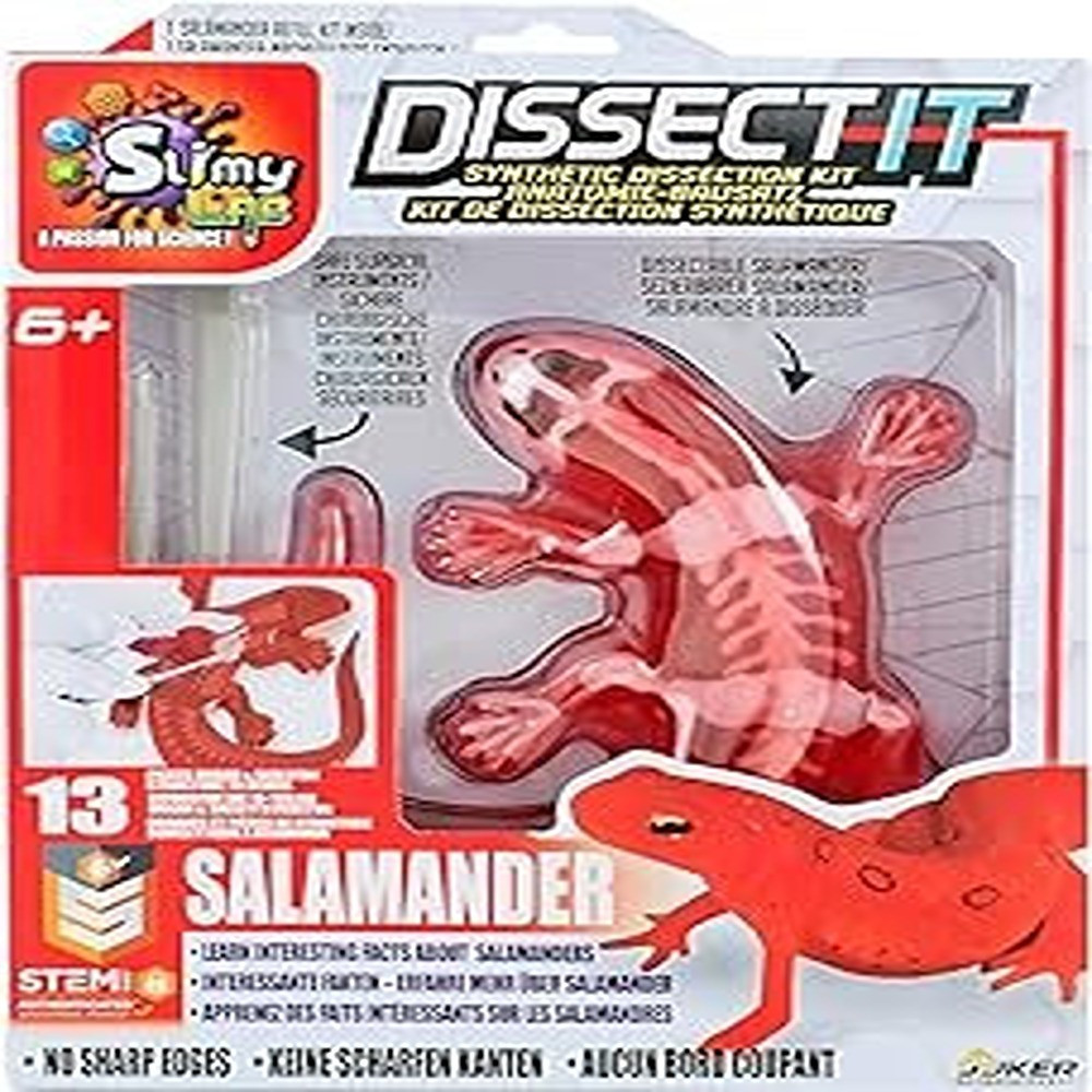 Dissect It Synthetic Dissection Kit Salamander, 38071