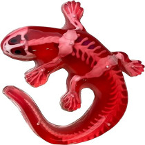 Dissect It Synthetic Dissection Kit Salamander, 38071