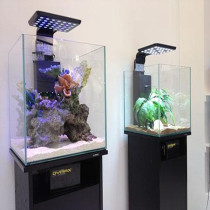 Dymax Aquarium Black Wood Grain Cabinet For Fish, 50 cm, Cube