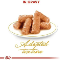 Royal Canin Feline Breed Nutrition British Shorthair, 12 x 85G