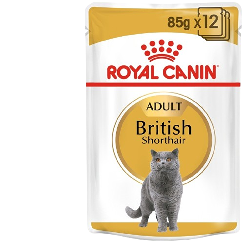 Royal Canin Feline Breed Nutrition British Shorthair, 12 x 85G