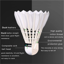 Jaspo Voyager Steel Aluminum 3 Feather Shuttle Corks Complete Badminton Set Outdoor Backyard Games