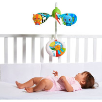 Dual Motion Developmental Mobile
