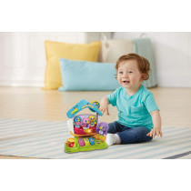 Musical Bird Play House Vtuk