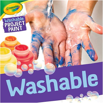 6 Ct. Washable Kids Paint 2Oz. Bottles Assorted Colors Nonpeggable