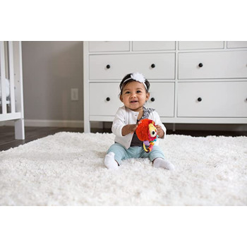 Vtech Shake And Explore Lion