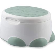Baby Potty Trainer With Detachable Toilet Seat And Step Stool Hemlock