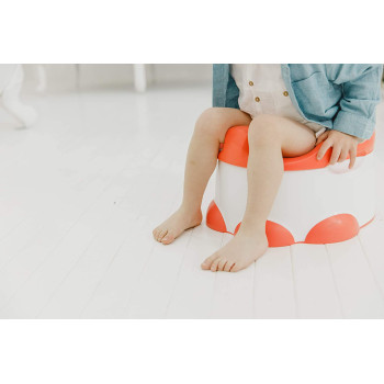 Baby Potty Trainer With Detachable Toilet Seat And Step Stool Coral