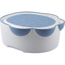 Baby Potty Trainer With Detachable Toilet Seat And Step Stool Powder Blue