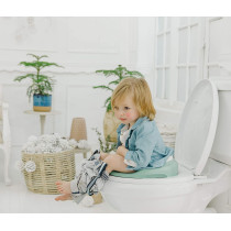 Baby Toilet Training Seat For Toddler Hemlock