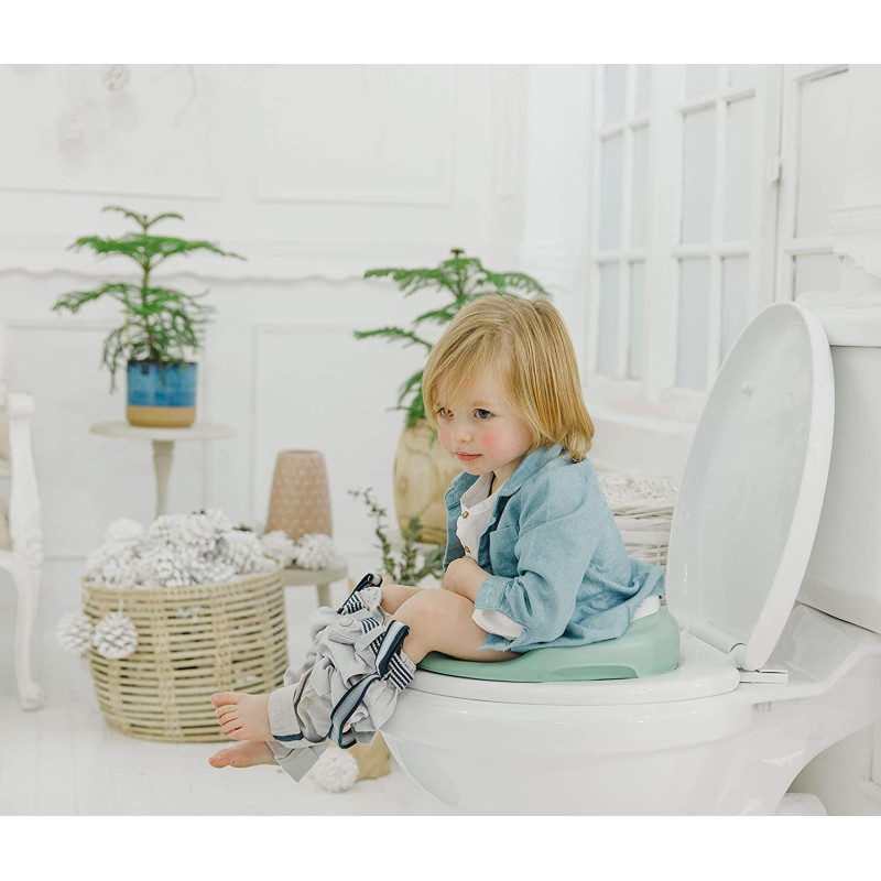 Baby Toilet Training Seat For Toddler Hemlock