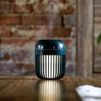 Innogio Hygro Ultrasonic Air Humidifier With Night Light 8H Battery Life Green