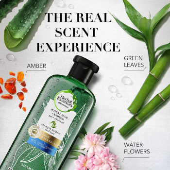 Herbal Essences Sulfate Free Potent Aloe Bamboo Shampoo & Conditioner For Dry Hair And Frizzy Hair, 400 ml
