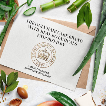 Herbal Essences Sulfate Free Potent Aloe Bamboo Shampoo & Conditioner For Dry Hair And Frizzy Hair, 400 ml