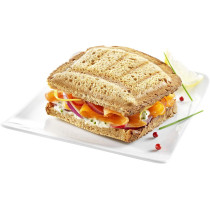Moulinex Sandwich Maker, perfect for sandwiches, paninis, all breads, red color, SM156843